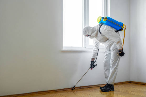 Best Fumigation Services  in Riverside, AL